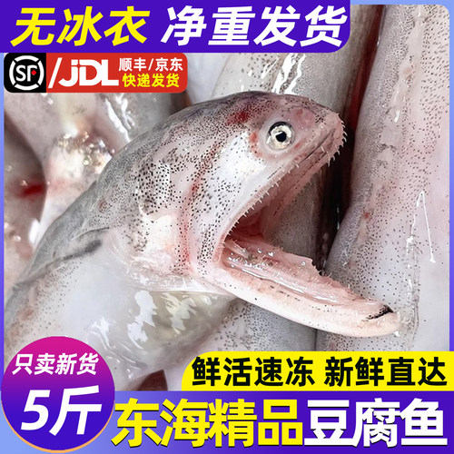 精品新货豆腐鱼龙头鱼新鲜无冰衣