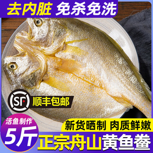 大黄鱼鲞干黄花鱼干渔家自晒风干咸鱼舟山特产大号黄鱼干海鲜干货