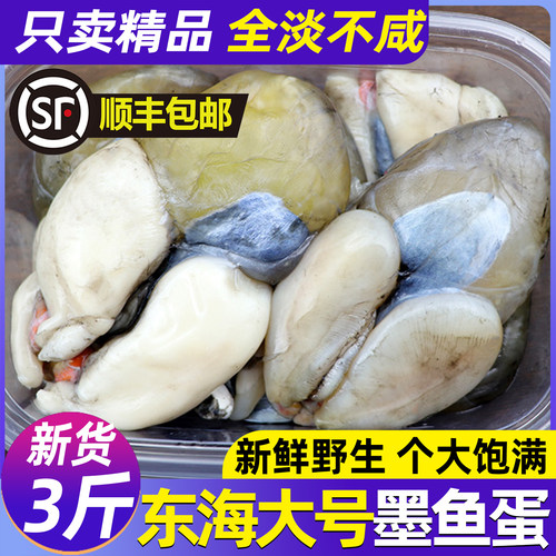 精品大号带膏墨鱼蛋全淡不加盐