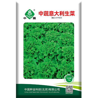 北京农科院意大利生菜种子10克