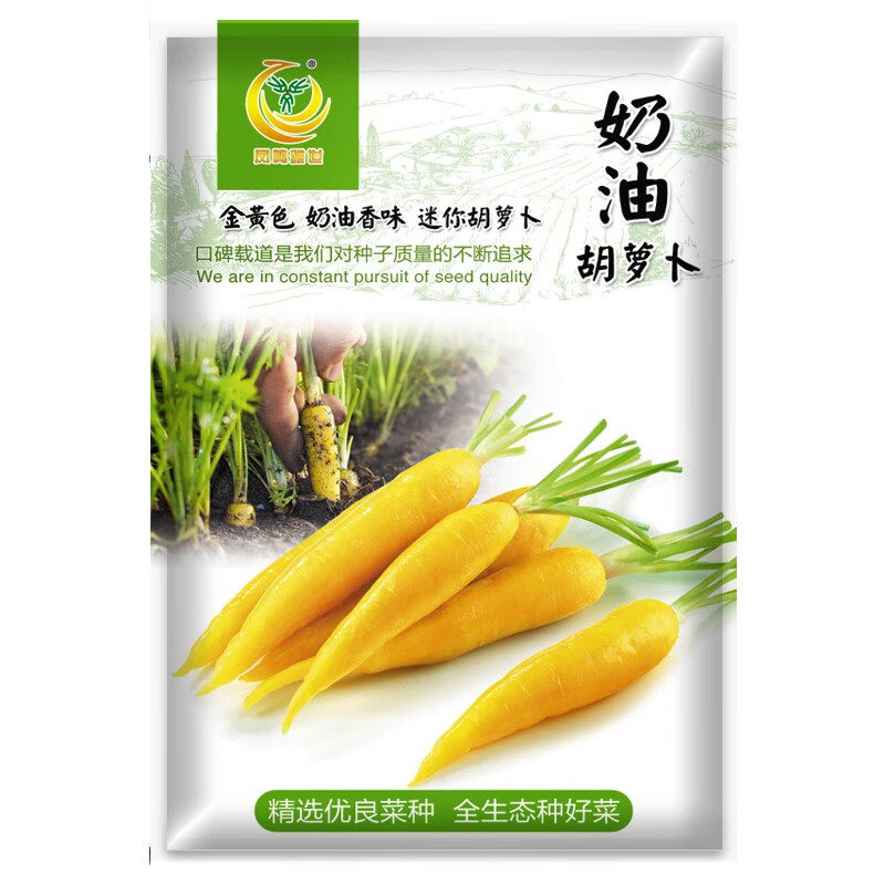 紫色水果胡萝卜种子大全农家四季菜籽奶油胡萝卜种籽蔬菜种孑