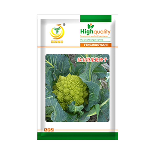 宝塔菜种子大全花椰菜有机菜花种籽花苗四季冬季蔬菜种子花菜菜籽