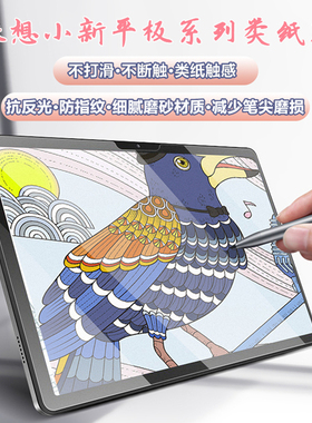 适用联想平板小新pad11/10.6类纸膜padpro2023/22磨砂膜m10plus/m8水凝膜防反光Padplus11.5高清防蓝光护眼膜