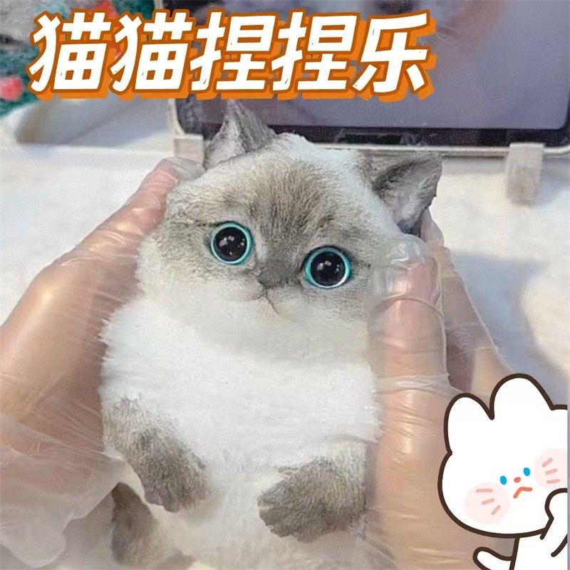 Extra-Large Cat Stress-Relief Squishy Toy, High-Appearance Value, Cute Pet, Super Soft Squishy Toy, Slow Rebound, Quirky Squishy Toy