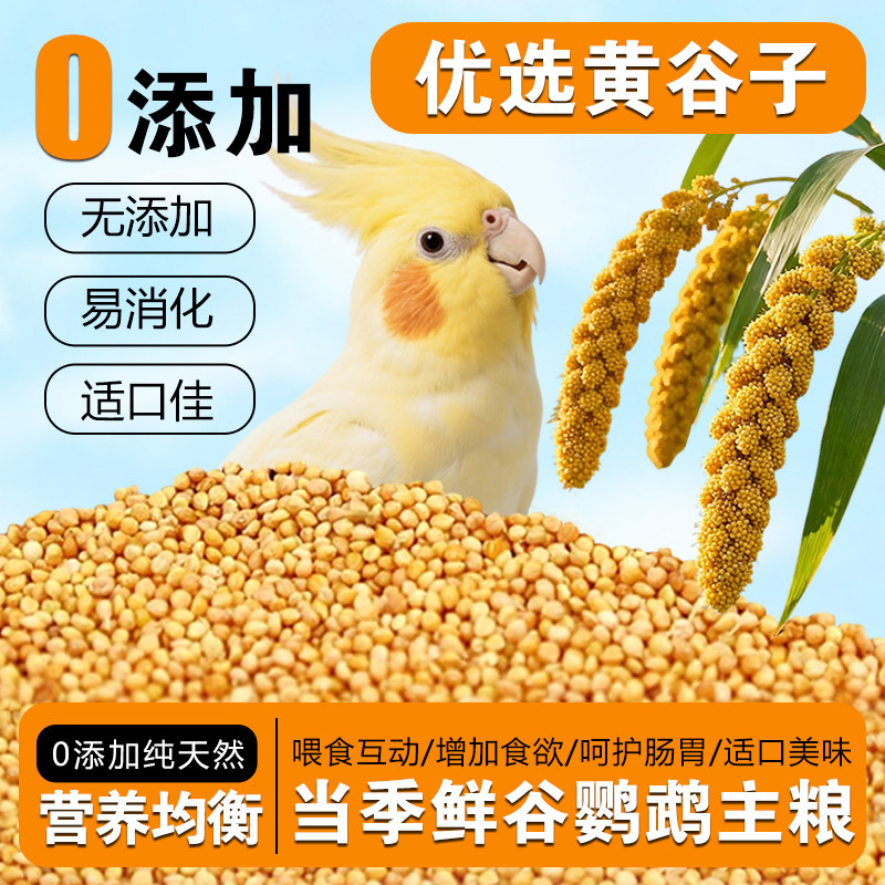 三丁黄谷子玄凤牡丹虎皮鹦鹉主粮