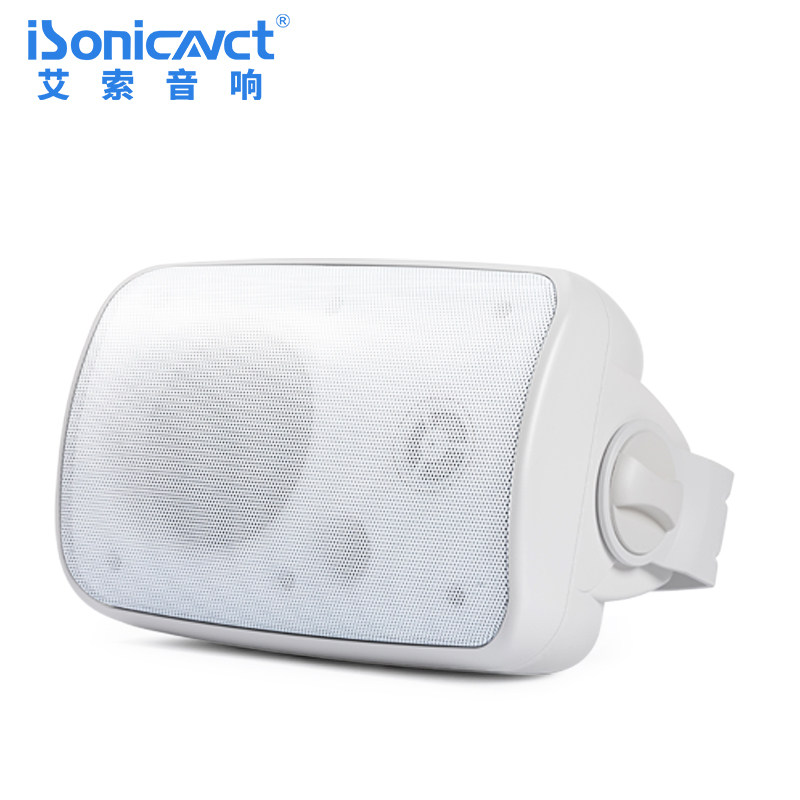 艾索bg4 4寸6寸8寸壁挂音响商业空间店铺定阻/定压可选喇叭音箱