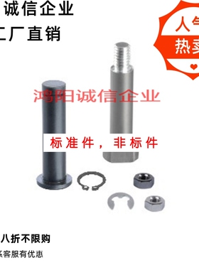 MIC/MIT01/02/03/04/05/11/16-D4/D5/D6/D8/D10/D12/D20D16铰链销