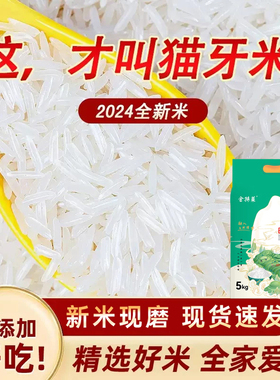 金特莱高山长粒香米猫牙米南方籼米真空包装大米当季新米