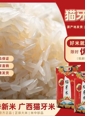 【福利购】广西特产猫牙米味初色旗舰店5kg袋装10斤现发苗长粒米