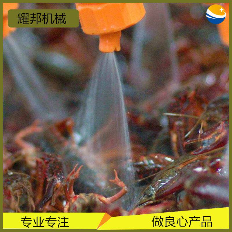 小龙虾清洗机器 不锈钢小龙虾超声波清洗机 全自动洗虾机