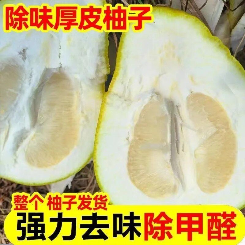 正宗广西容县沙田柚老树柚子土柚子不吃果肉香柚沙田柚金柚子