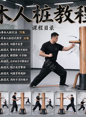 咏春木人桩视频教程招式打法新手自学零基础入门精通教学课程