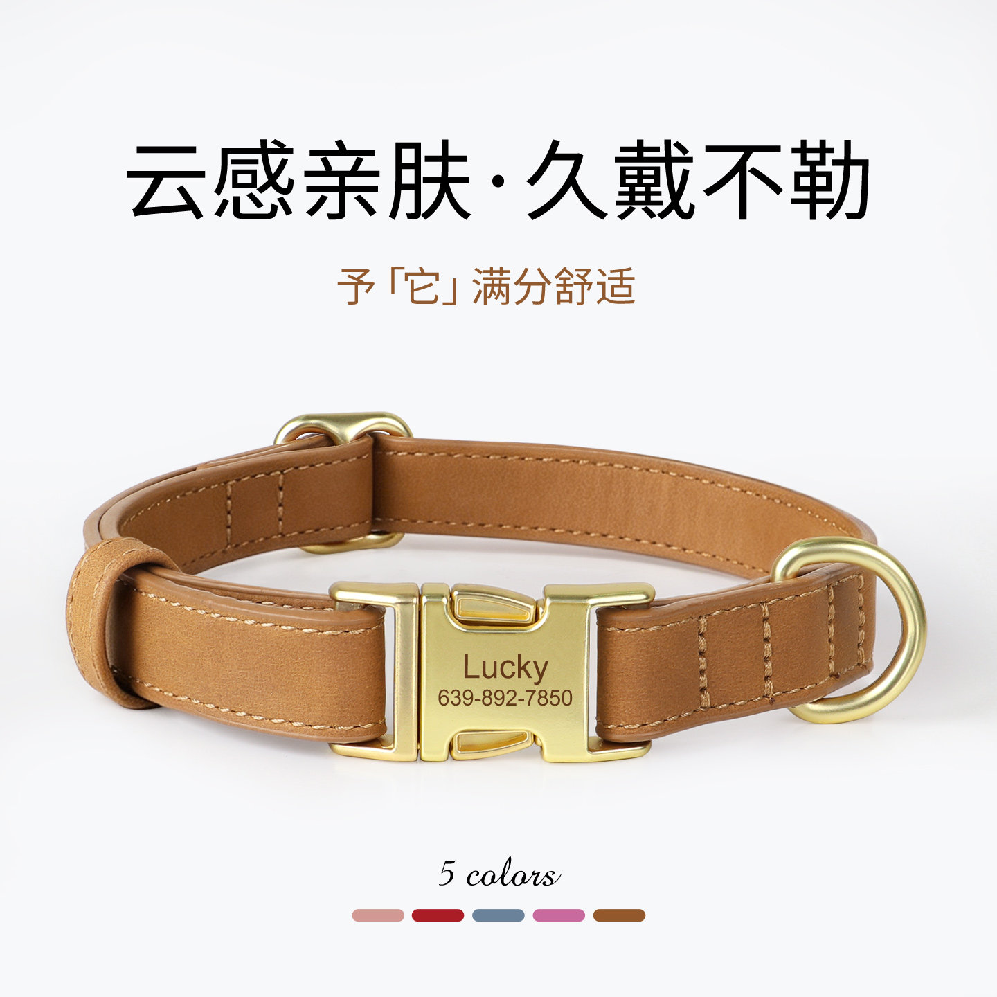 狗项圈宠物脖圈狗狗项圈刻字防丢小型犬专用宠物颈圈外出小狗狗绳