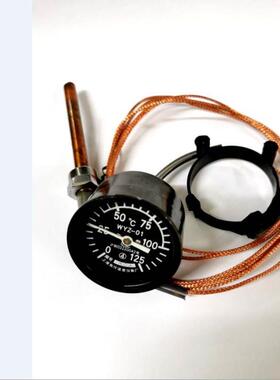 温度表  遥测温度表 WYZ-01   0-125度  尾线3-15米  20米 (定制)