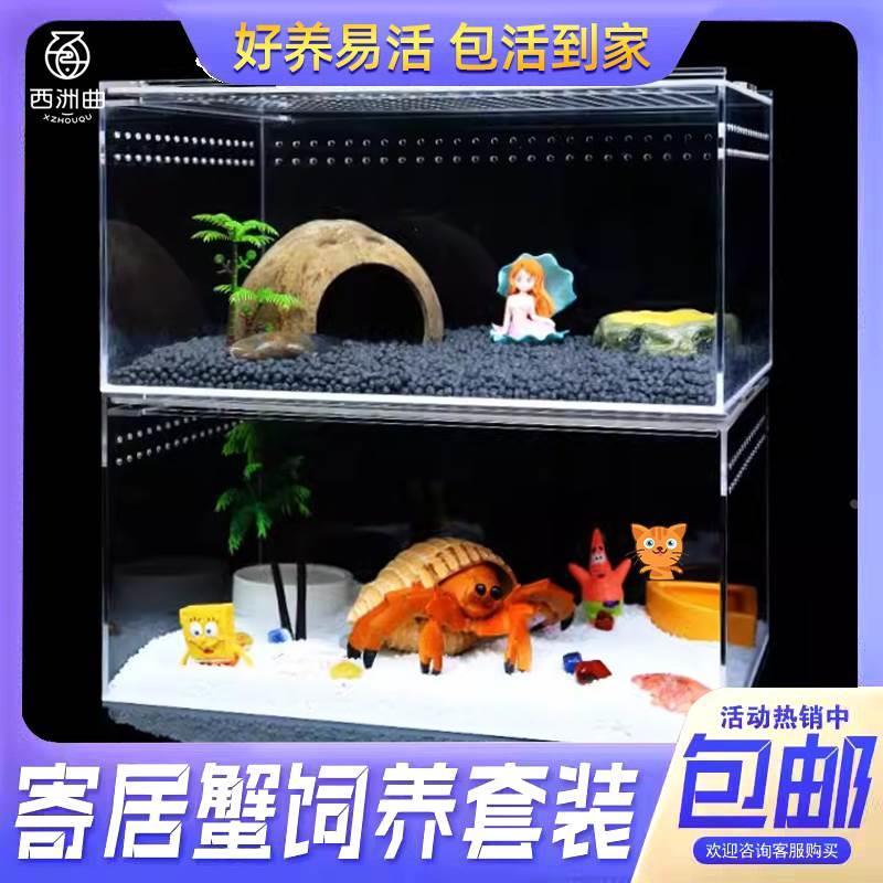 寄居蟹饲养箱小款造景鱼缸相守蟹缸桌面躲避屋螃蟹乌龟缸客厅生态