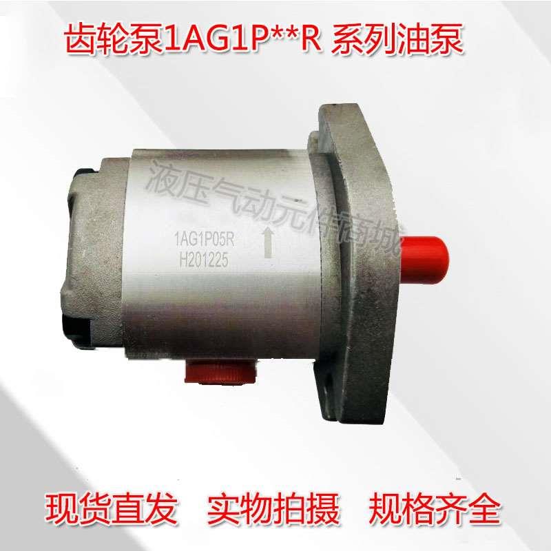 台湾齿轮泵1AG1P02R 1AG1P06R 1AG1P07R 1AG1P08R 液压泵高压油泵