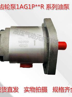 台湾齿轮泵1AG1P02R 1AG1P06R 1AG1P07R 1AG1P08R 液压泵高压油泵