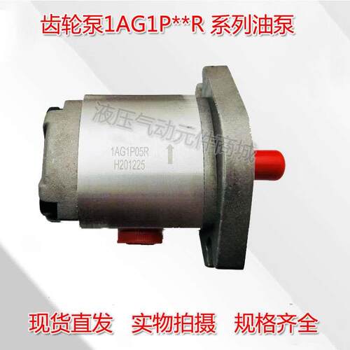 台湾齿轮泵1AG1P02R 1AG1P06R 1AG1P07R 1AG1P08R 液压泵高压油泵