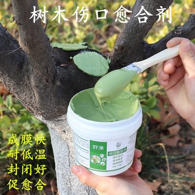 愈伤膏保护膜复合抹口胶剪枝花木树杆树皮涂抹敷料防腐嫁接消毒