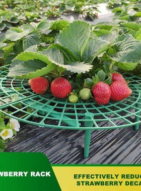 Flower Climbing Vine Pillar Gardening Stand Decaying Resista