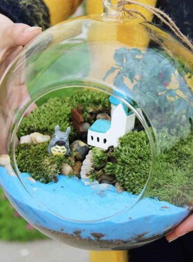 Diameter 8cm Hanging Glass Vase Flowers Plant Table Vase Sta