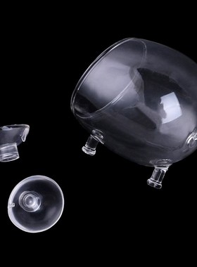 Aquarium Landscape CO2 Glass Bubble Water Red Worms Grass Fo