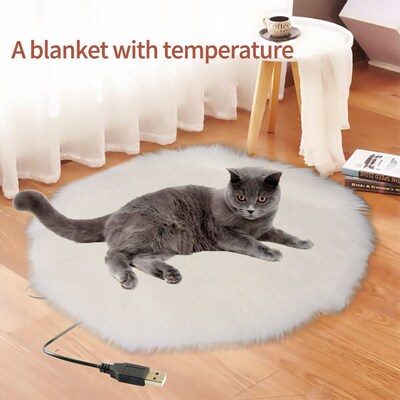 Pet Simulation Mink Cashmere Blanket Thermostat Heating Pad