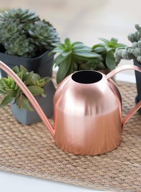 Small Watering Can kettle Helps You Water Tiny House Plants,