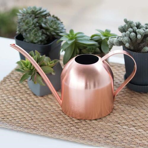 Small Watering Can kettle Helps You Water Tiny House Plants,