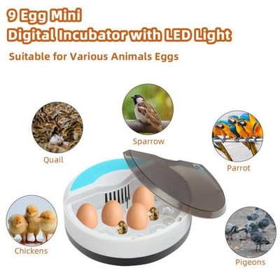 Farm Hatchery Incubator Brooder Machine 220V 9 Eggs Incubato