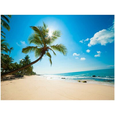 DIY Diamond Painting By Number Kit for Adults, Coconut Trees