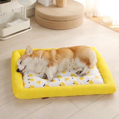 Dog Cooling Mat Summer Cool Feeling Dogs Bed for Medium and