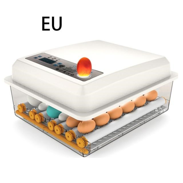 Poultry Hatchery Machine Hatching Eggs 16 Mini Brooder Small