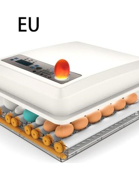 Poultry Hatchery Machine Hatching Eggs 16 Mini Brooder Small