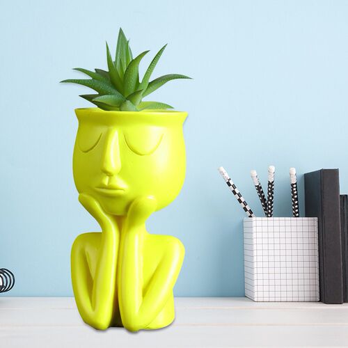 Humanoid Bonsai Resin Pot Desktop Succulent Head Vase Small