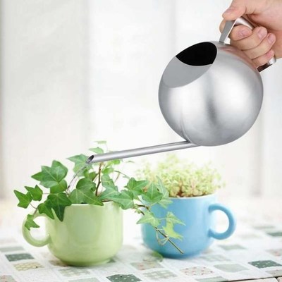 Watering Can 1000mL Long Mouth Round Sprinkling Pot for Home