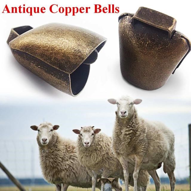 Cow Horse Sheep Grazing Copper Bells Large Thickened Cattle
