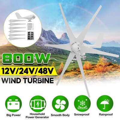800W 12V 24V 48V Wind Turbine Generator With 6 Blades Horizo
