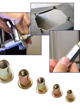 100Pcs Rivet Set Zinc Plated Carbon Steel Rivets Threaded Ri