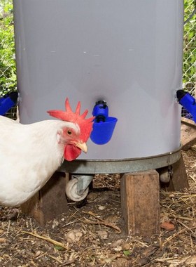 Pigeon Automatic Nipple Drinking Cup Quail Bird Chicken Drin