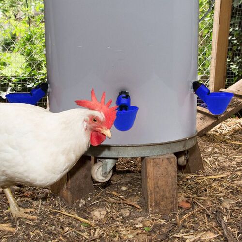 Pigeon Automatic Nipple Drinking Cup Quail Bird Chicken Drin