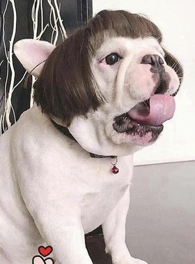 Pet Wig Small Dog Cat Cospaly Cross Dressing Hair Set Transf