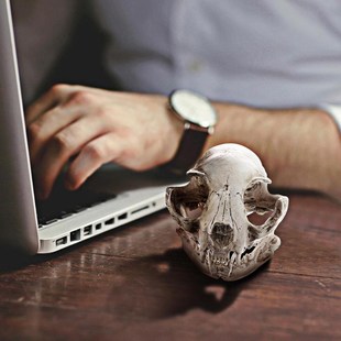 Animal Skull Desk Decoration Statues Sculptures Resin Hallow