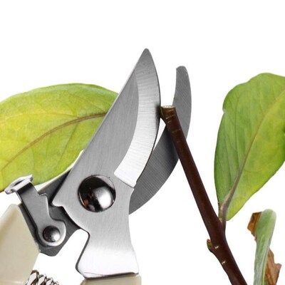 17cm/19cm Pruner Tree Cutter Gardening Pruning Shear Scissor