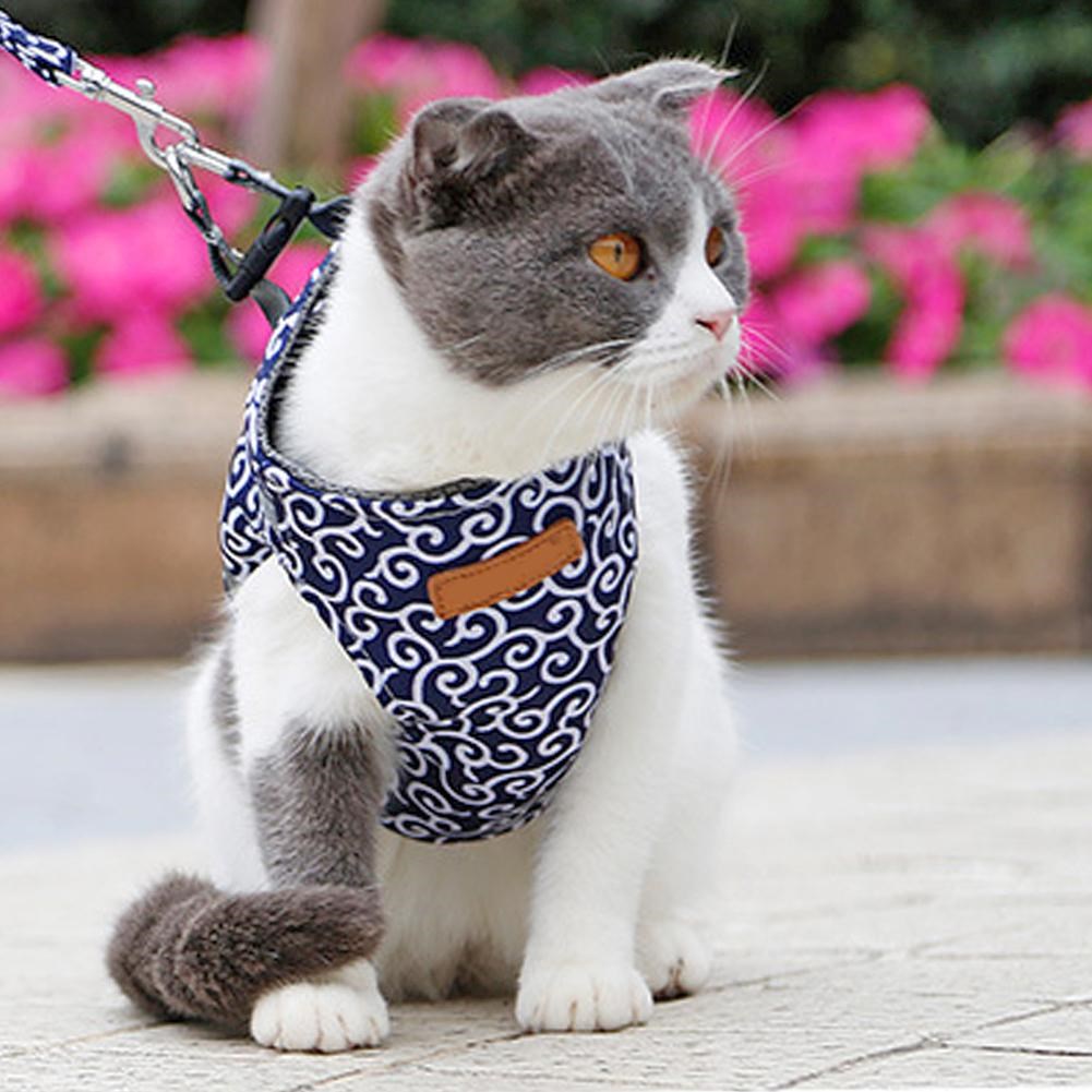 Pet Dog Cat Harness Vest Collar Outdoor Walking Leash Set Ha