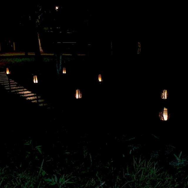 LED Lamp Waterproof Outdoor LEDs Lawn Flame Flickering Flame