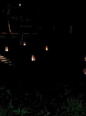 LED Lamp Waterproof Outdoor LEDs Lawn Flame Flickering Flame