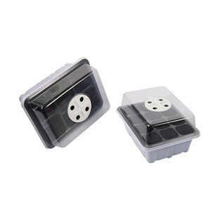 Seeding Box with Breathable Holes Plants Succulents Germinat