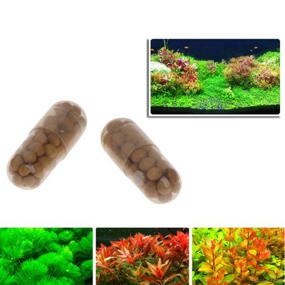 40 Pcs Aquatic Plant Water Root Fertilizer Condensed Aquariu