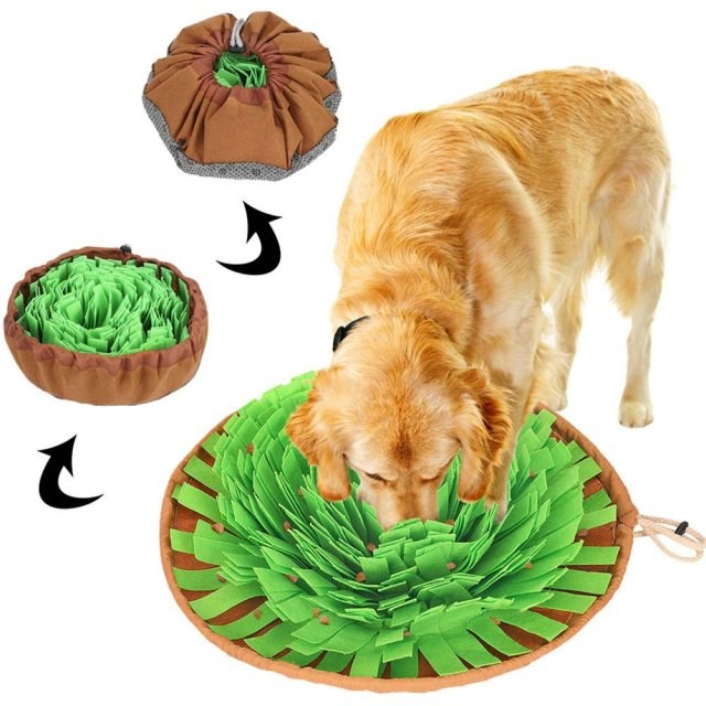 Interactive Dog Puzzle Toys Encourage Natural Foraging Skill